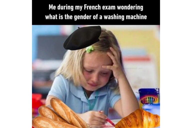 Me during my French exam wondering what is the gender of a washing machine